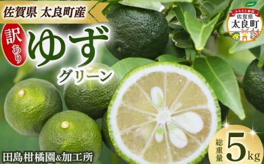 【訳あり】田島柑橘園&加工所のゆず(グリーン)5kg　ゆず ユズ 柚子 フルーツ 果物 柑橘 グリーン 果皮 果汁 ゆずごしょう 柚子胡椒 スイーツ デザート アレンジ 柚子風呂 ゆず風呂 佐賀県 太良町 NA30