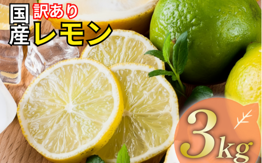 レモン 訳あり 3kg 7000円 送料無料 愛媛 国産 柑橘 フルーツ 産地直送 皮ごと 皮まで食べられる ノーワックス 防腐剤不使用 減農薬 安心 安全 グリーンレモン イエローレモン マイヤーレモン アレンユーレカ りのか 家庭用 B級品 サイズ 不揃い スムージー ジュース レモンサワー 酎ハイ 料理 お菓子作り 旬 の 果物 清家ばんかんビレッジ
