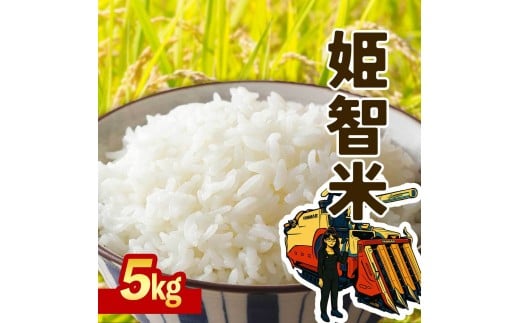 令和７年産 新米 なつほのか 5kg  智子さんの姫智米 精米 2305432 - 鹿児島県大崎町