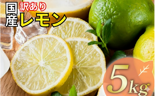 レモン 訳あり 5kg 10000円 送料無料 大容量 愛媛 国産 柑橘 フルーツ 産地直送 皮ごと 皮 まで 食べられる ノー ワックス 防腐剤 不使用 減農薬 安心 安全 グリーンレモン イエローレモン マイヤーレモン アレンユーレカ 家庭用 業務用 B級品 不揃い スムージー ジュース レモンサワー 酎ハイ 料理 お菓子作り 旬 の 果物 清家ばんかんビレッジ