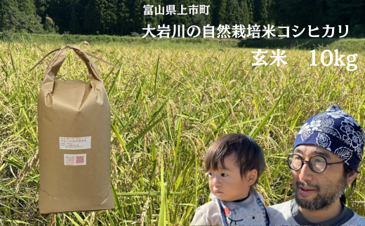【令和7年産】米 上市町産  大岩川の自然栽培米コシヒカリ（玄米）10kg [有吉自然農場] お米 コメ ご飯 ごはん こしひかり 富山県産 1923602 - 富山県上市町
