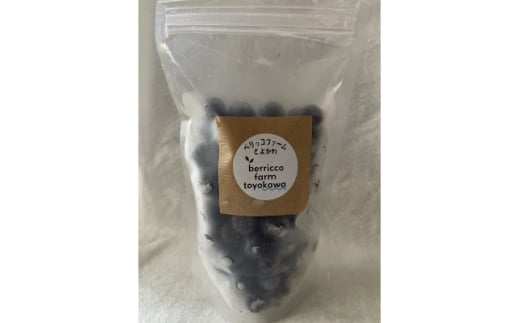 毎日の食卓にベリーを!完熟ブルーベリー冷凍パック詰め合わせ　250g×4個【1602934】