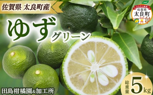 田島柑橘園&加工所のゆず(グリーン)5kg　ゆず ユズ 柚子 フルーツ 果物 柑橘 グリーン 果皮 果汁 ゆずごしょう 柚子胡椒 スイーツ デザート アレンジ 柚子風呂 ゆず風呂 佐賀県 太良町 ND17