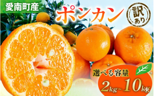 [ 2026年 先行予約 ] 訳あり ポンカン 選べる 容量 2kg 3kg 5kg 10kg サイズミックス 傷み補償 200g 〜 500g 付 送料無料 柑橘 みかん 蜜柑 家庭用 フルーツ 果物 産地直送 規格外 不揃い キズ わけあり 甘い 濃厚 ジューシー お取り寄せ グルメ 冬の味覚 旬の果物 農家直送 甘い ジューシー ジャム ジュース 作り 愛媛県 愛南町 清家ばんかんビレッジ