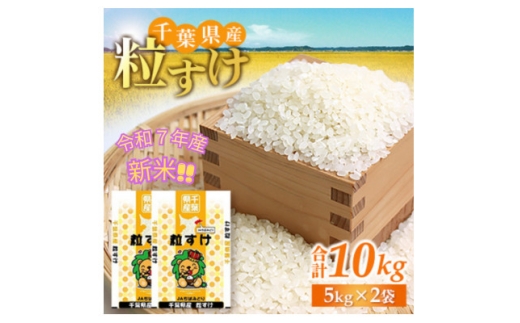 「令和7年産」千葉県産　粒すけ　精米10kg(5kg×2袋)【1584228】 1950182 - 千葉県横芝光町