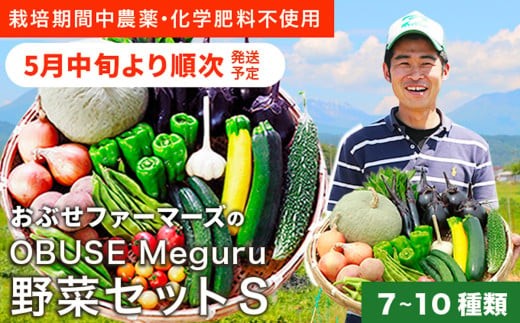  ［栽培期間中農薬・化学肥料不使用 ］OBUSE Meguru 野菜セット S 7～10種類 ［おぶせファーマーズ］野菜 詰め合わせ おまかせ やさい 詰合せ お楽しみ 長野県産 信州 令和7年産 【2025年5月中旬より順次発送】  [FY-1] 2135028 - 長野県小布施町
