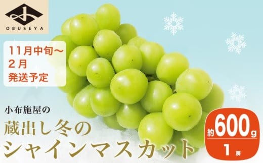 蔵出し冬のシャインマスカット 約600g 1房 ［小布施屋 ］長野県 ぶどう フルーツ 果物 冷蔵便 クール便 令和7年産【2025年11月中旬～2026年2月発送】［A-706］ 2067495 - 長野県小布施町