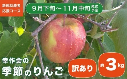 【訳あり】 季節のりんご 約3kg ［新規就農者応援コース 幸作会］ 果物 フルーツ りんご 林檎 リンゴ 長野県産 信州産  令和7年産【2025年9月下旬～11月中旬発送】 ［KH-51］ 223175 - 長野県小布施町