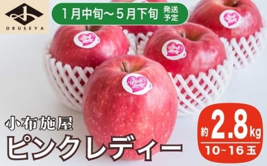 冬春が旬の希少なりんご ピンクレディー 約2.8kg 10～16玉［小布施屋］りんご 林檎 リンゴ 果物 フルーツ 期間限定 数量限定 長野県産 信州産 小布施町 2月発送 3月発送 4月発送 5月発送 令和7年産 【2026年1月中旬～5月下旬】［A-51］ 620297 - 長野県小布施町