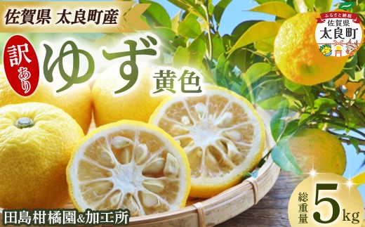 【訳あり】田島柑橘園&加工所のゆず(黄色)5kg　ゆず ユズ 柚子 フルーツ 果物 柑橘 黄色 果皮 果汁 ゆずごしょう 柚子胡椒 スイーツ デザート アレンジ 柚子風呂 ゆず風呂 佐賀県 太良町 NA31