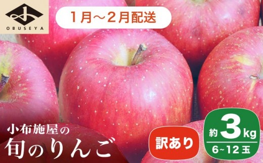［訳あり］ 旬のりんご 約3kg 6～12玉 ［小布施屋］ 傷 規格外 不揃い 訳アリ 家庭用 りんご 林檎 リンゴ 果物 フルーツ 長野県産 信州産 特産 産地直送 産直 数量限定 先行予約 令和7年度産 【2025年1月～2月配送】［A-304d］ 1353971 - 長野県小布施町