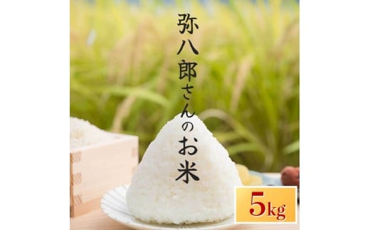 令和7年産 新米 弥八郎さんのお米 鹿児島県産 なつほのか 精米 5kg 2305678 - 鹿児島県大崎町