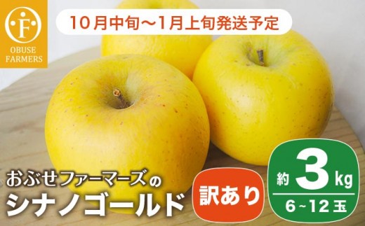 【訳あり】 シナノゴールド 約3kg 6～12玉 ［おぶせファーマーズ］ 不揃い 規格外 家庭用  果物 フルーツ りんご 林檎 リンゴ 長野県産 信州産 令和7年産 【2025年10月中旬～2026年1月上旬発送】 ［FH-53］ 266606 - 長野県小布施町