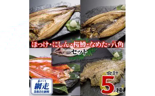 網走加工の一夜干しセット 5種B 【 ふるさと納税 人気 おすすめ ランキング ほっけ にしん なめた 桜ます 八角 一夜干し 一夜 干し 魚介 セット 詰め合わせ 自宅用 ギフト 贈答 贈り物 海鮮 オホーツク 北海道 網走市 送料無料】 ABE122