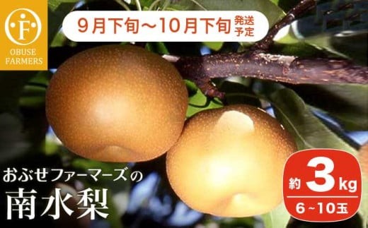 南水 秀品 約3kg 6～10玉 [おぶせファーマーズ]   梨 なし フルーツ 果物 クール便 冷蔵便 長野 信州 先行予約 数量限定 令和7年産 【2025年9月下旬～10月下旬発送】［F-31］