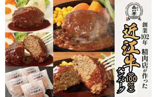近江牛ハンバーグ詰合わせ 5個 品川亭 [ST004]