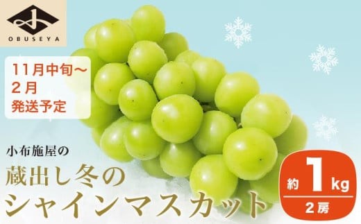蔵出し冬のシャインマスカット 約1kg 2房 ［小布施屋 ］長野県 ぶどう フルーツ 果物 冷蔵便 クール便 令和7年産【2025年11月中旬～2026年2月発送】［A-502］ 487857 - 長野県小布施町