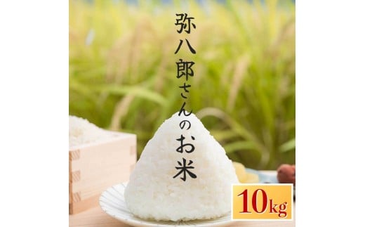 令和7年産 新米 弥八郎さんのお米 鹿児島県産 なつほのか 精米 10kg 2305679 - 鹿児島県大崎町