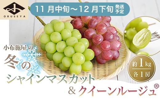冬のシャインマスカット＆クイーンルージュ_ 約1kg 各1房 ［小布施屋］フルーツ 果物 くだもの ぶどう 葡萄 ブドウ クール便 冷蔵 お楽しみ 長野県産 信州産 令和7年産 【2025年11月中旬～12月下旬発送】 ［A-302］ 1115489 - 長野県小布施町