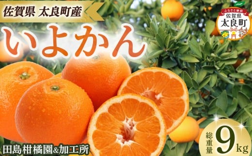 田島柑橘園&加工所のいよかん9kg　みかん 柑橘 蜜柑 いよかん 伊予柑 完熟 果物 くだもの 果実 かんきつ フルーツ ジューシー 果肉 ビタミン 佐賀県 太良町 OA17