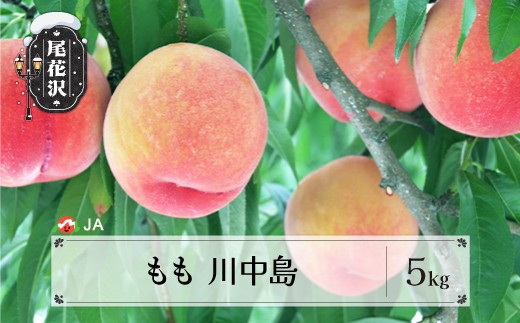 先行予約 もも 川中島 約5kg 秀 20玉以上 2026年産 令和8年産 8月中旬～9月上旬頃発送 桃 白桃 モモ 果物 フルーツ 山形県産 送料無料 ※沖縄・離島への配送不可 ja-moknx5-b 2305240 - 山形県尾花沢市