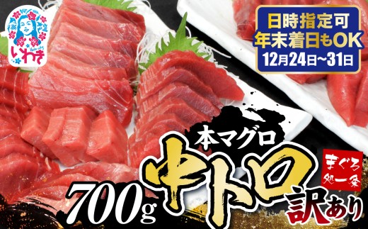 【年末配送12/24～31着日】本マグロ訳あり中トロ700g 日時指定可能 | 鮪 本鮪 本まぐろ マグロ トロ とろ 刺し身 さしみ さかな 海鮮 寿司 解凍レシピ付 発送時期が選べる 冷凍・指定日着可 2292748 - 福島県いわき市
