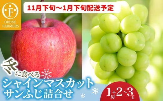 冬に食べるシャインマスカットとサンふじ詰合せ 1房（約500g） 2～3玉［おぶせファーマーズ］ ぶどう りんご 林檎 リンゴ 果物 フルーツ  長野 信州 数量限定 令和7年産【2025年11月下旬～2026年1月下旬発送】 2283504 - 長野県小布施町