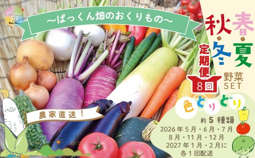 【 早期受付 8回 定期便 】 旬な野菜セット 約5種類 とれたて 新鮮 ぱっくん畑のおくりもの 農家直送 国産 野菜 やさい 高知県 高知 四万十市 四万十 しまんと 野菜便 限定 【2026年5月～8月、11月～2027年2月に月1回発送】25-813 868677 - 高知県四万十市