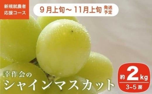 シャインマスカット 約2kg 3〜5房 [新規就農者応援コース 幸作会] ぶどう 葡萄 ブドウ 生産者応援 果物 フルーツ 先行予約 数量限定 令和7年産[2025年9月上旬〜11月上旬発送] [K-39]