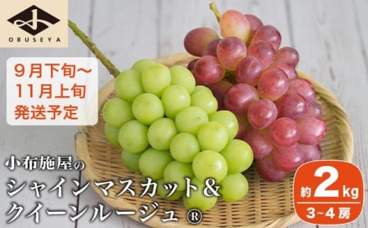 シャインマスカット＆クイーンルージュ_ 約2kg 3～4房 ［小布施屋］ 果物 フルーツ ぶどう 葡萄 令和7年産【2025年9月下旬～11月上旬発送】 ［A-703］ 2058139 - 長野県小布施町