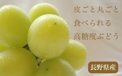 皮ごと食べられる人気のシャインマスカット。果皮のパリッとした歯触りは心地よく、ジューシーかつ上品な甘みが口いっぱいに広がります。