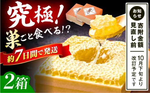 国産巣みつ 600g(300g×2個) 蜂蜜 はちみつ ハチミツ コムハニー 極上 濃厚  蜂蜜 グリークヨーグルト アサイーボウル パンケーキ ソフトクリーム オシャレ 人気 朝食 デザート 巣みつ スピード配送 広川町 / 株式会社九州蜂の子本舗 [AFAI005]