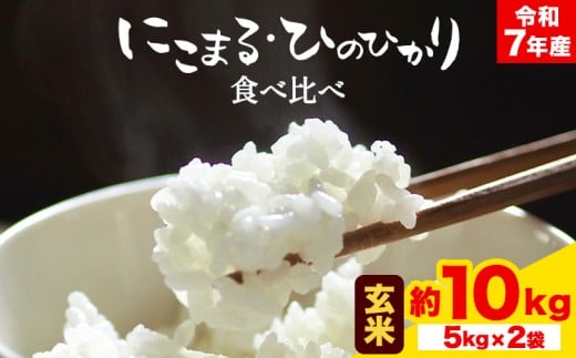 令和7年産 米 にこまる ひのひかり 食べ比べ 約10kg ( 各 5kg ) こめ コメ 玄米 上田農園《10月中旬-11月中旬頃出荷》 熊本県 荒尾市 