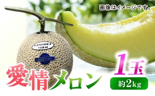 【先行予約】愛情 メロン 1玉【とみおか農園】 [ZEM007]