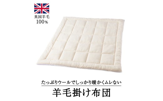 ウール100％ 羊毛掛け布団 シングル｜寝具 布団 掛け布団 肌掛け布団 シングル 天然素材 洗える 洗濯可 ウール  睡眠 快適 快眠 熟睡 吸湿 保温 天竺ニット 泉大津市 1587837 - 大阪府泉大津市