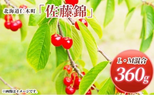 北海道 仁木町産 さくらんぼ 佐藤錦 360g (180g×2パック) L-Mサイズ 混合　旬 桜桃 産地直送 サクランボ チェリー フルーツ 果物 果物類  仁木町 仁木 [松山商店]