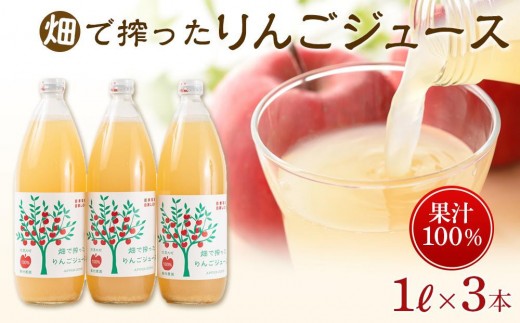 りんご ジュース 3本 × 各1000ml 大町産 箱入り｜ 林檎 リンゴ ストレートジュース 果汁100％ 無添加 大容量 ギフト 贈答用 人気 おすすめ フルーツジュース 果物 飲料 朝食用  国産 送料無料 長野県 大町市 信州 ふるさと納税 2157422 - 長野県大町市