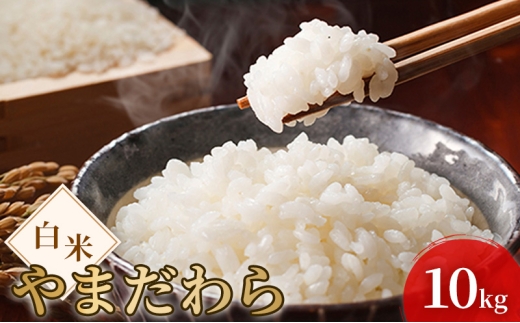 令和7年度産 新米 白米 やまだわら 10kg 米 お米 コメ おこめ 精米 岡山 瀬戸内市 [№5735-3396]
