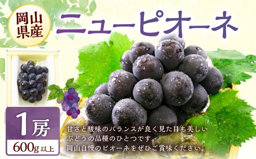 ぶどう 2026年 先行予約 ニュー ピオーネ 1房 600g以上 【2026年8月下旬～9月下旬 発送予定】 ブドウ 葡萄 岡山県産 国産 フルーツ 果物 ギフト 環山堂 くだもの お取り寄せ 贈り物 ギフト 国産