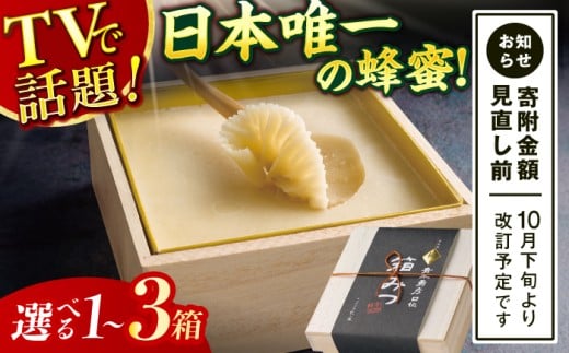 [選べる箱数][先行受付 令和7年12月より発送]極箱みつ 1箱〜3箱 蜂蜜 はちみつ ハチミツ 高級 濃厚 バター ハニー クリーム 箱蜜 蜂蜜 広川町 / 株式会社九州蜂の子本舗 [AFAI010]