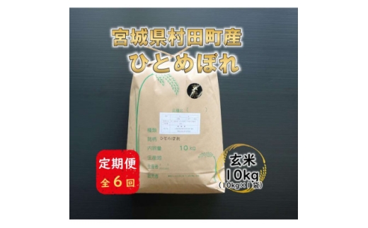 ＜毎月定期便＞宮城県村田町産ひとめぼれ　玄米10kg(10kg×1)全6回【4074969】
