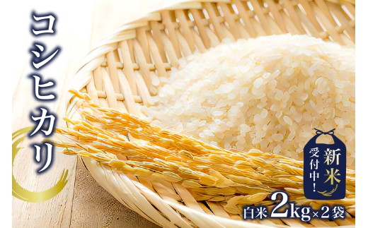 [新米]コシヒカリ白米2kg×2袋[2025年産] mi0015-0001 おにぎり 白米 お米 ブランド米 精米