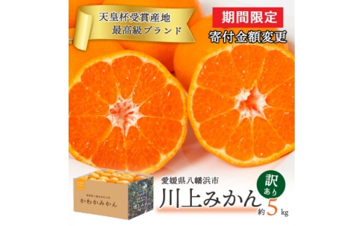 <期間限定!寄付額改定>＜天皇杯受賞産地＞川上みかん 約5kg＜訳あり＞＜C25-247＞【1654045】 2232709 - 愛媛県八幡浜市