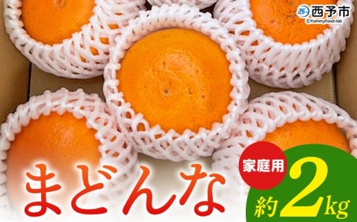 紅まどんなと同品種！＜まどんな 家庭用 約2kg＞ 柑橘 みかん ミカン 蜜柑 果物 フルーツ オレンジ 紅マドンナ マドンナ 訳あり 国産 愛媛産 特産品 おれんじはーと 食べて応援 西宇和 愛媛県 西予市 【常温】『2025年12月から順次出荷予定』