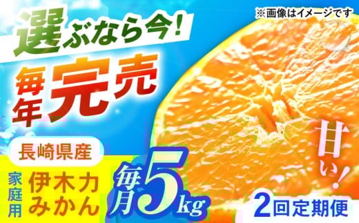 【2回定期便】※【11月より発送／先行予約】 伊木力みかん (家庭用) 5kg / みかん ミカン 蜜柑 柑橘 フルーツ ふるーつ 果物 くだもの / 諫早市 / 山野果樹園 [AHCF008] 2156267 - 長崎県諫早市