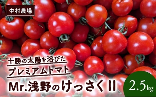 北海道 十勝の太陽を浴びたプレミアムトマト 「Mr.浅野のけっさく2」2.5kg ［中村農場］【 トマト フルーツトマト 中玉トマト ミディトマト 高糖度 甘い 濃厚 寒暖差 野菜 こだわり 農家直送 北海道 十勝 幕別 】 [№5749-1786]