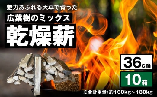S163-013_魅力あふれる天草で育った広葉樹のミックス乾燥薪（36cm）　　 2308838 - 熊本県天草市