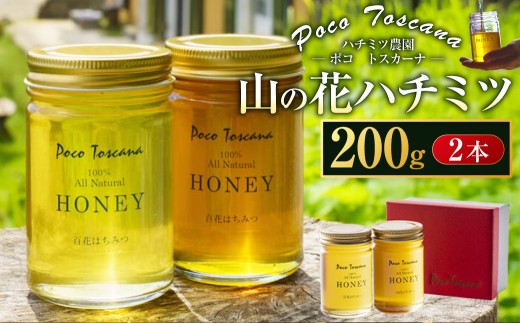 山の花 ハチミツ 200g瓶×2本セット 合計400g 蜂蜜 はちみつ 非加熱ハチミツ 長崎 ハチミツ農園PocoToscana 1467938 - 長崎県長崎市