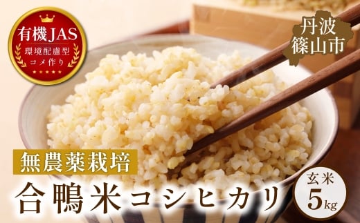 合鴨米 有機JAS認定 無農薬栽培 コシヒカリ 玄米 5kg │兵庫県 丹波篠山 玄米 お米 米 コメ こめ こしひかり 安全・安心 有機栽培 無農薬 有機JAS 農家直送 あいがも 合鴨農法 玄米