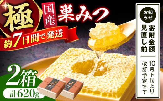 極巣みつ 620g (310g×2個) 蜂蜜 はちみつ ハチミツ すみつ 巣蜜 コムハニー 極上 濃厚 ギフト スピード配送 広川町 / 株式会社九州蜂の子本舗 [AFAI008]